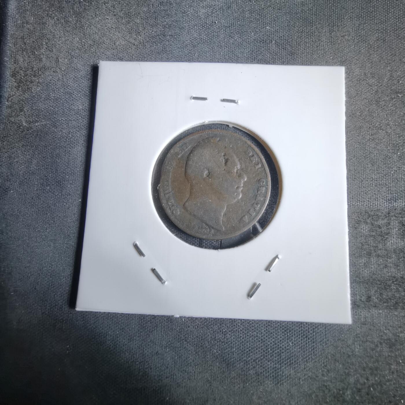 沼泽如烟--第924场