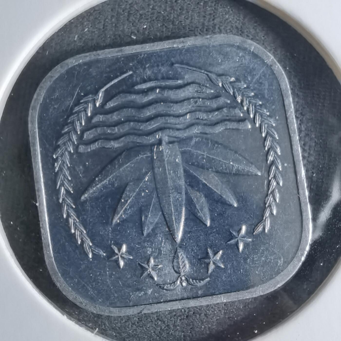 沼泽如烟--第924场