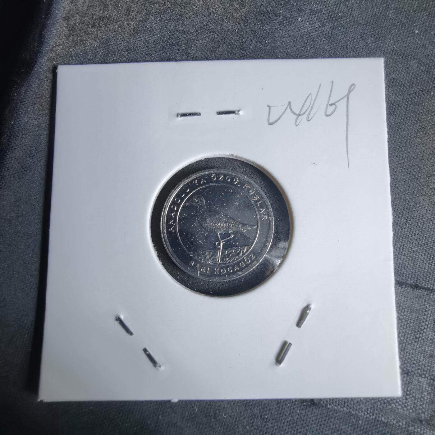 沼泽如烟--第924场