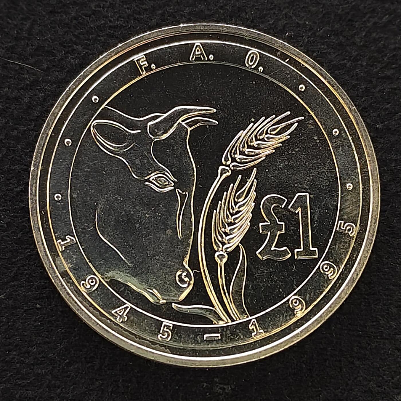 【全场包邮】纯粹捡漏拍484场（免费代拍第21场） 塞浦路斯1995年1镑FAO超大纪念币