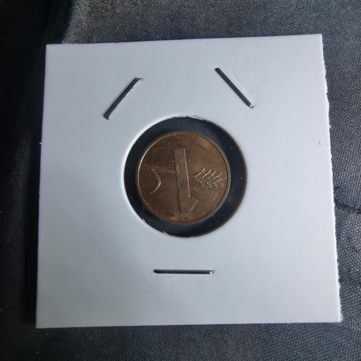 沼泽如烟--第924场