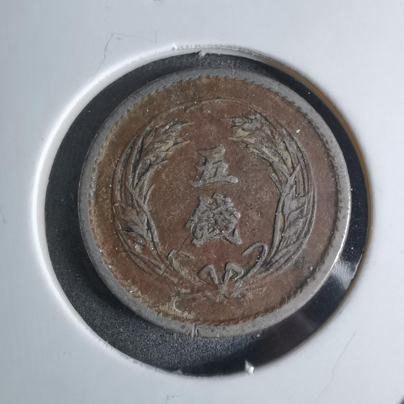 沼泽如烟--第924场