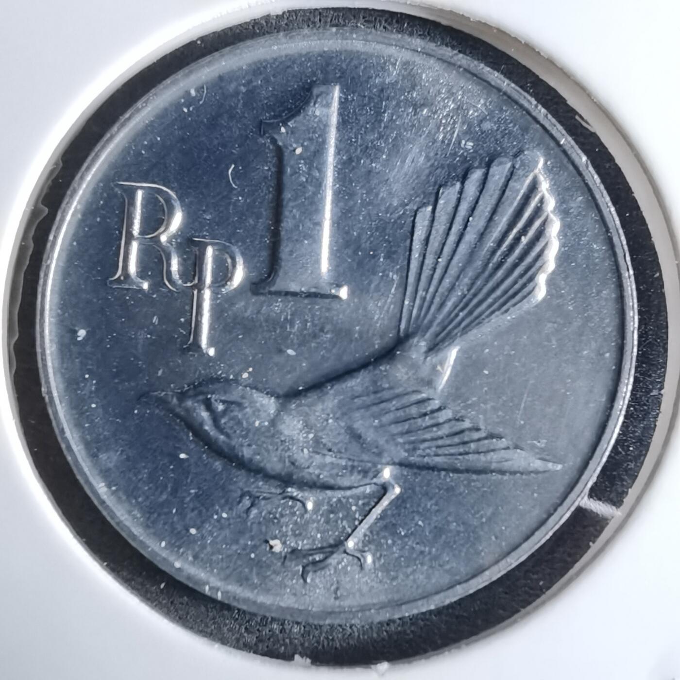 沼泽如烟--第924场