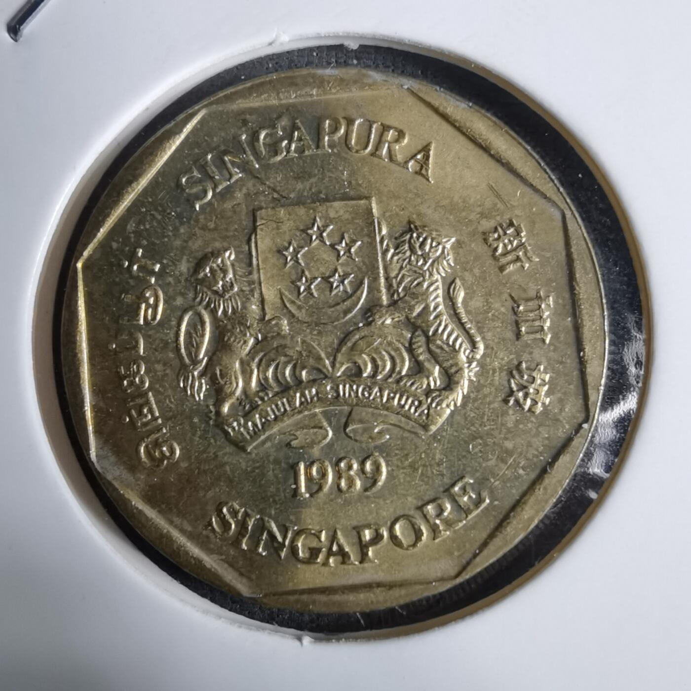 沼泽如烟--第924场