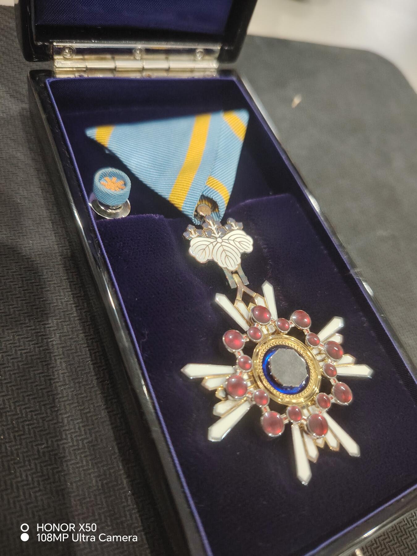 城南花开💐83场