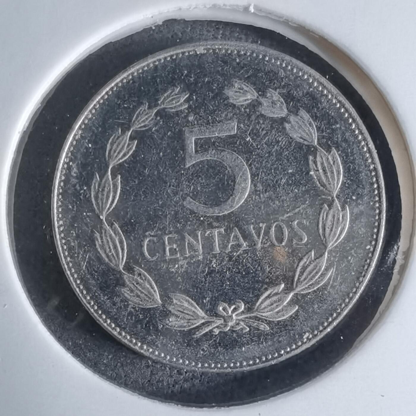 沼泽如烟--第924场