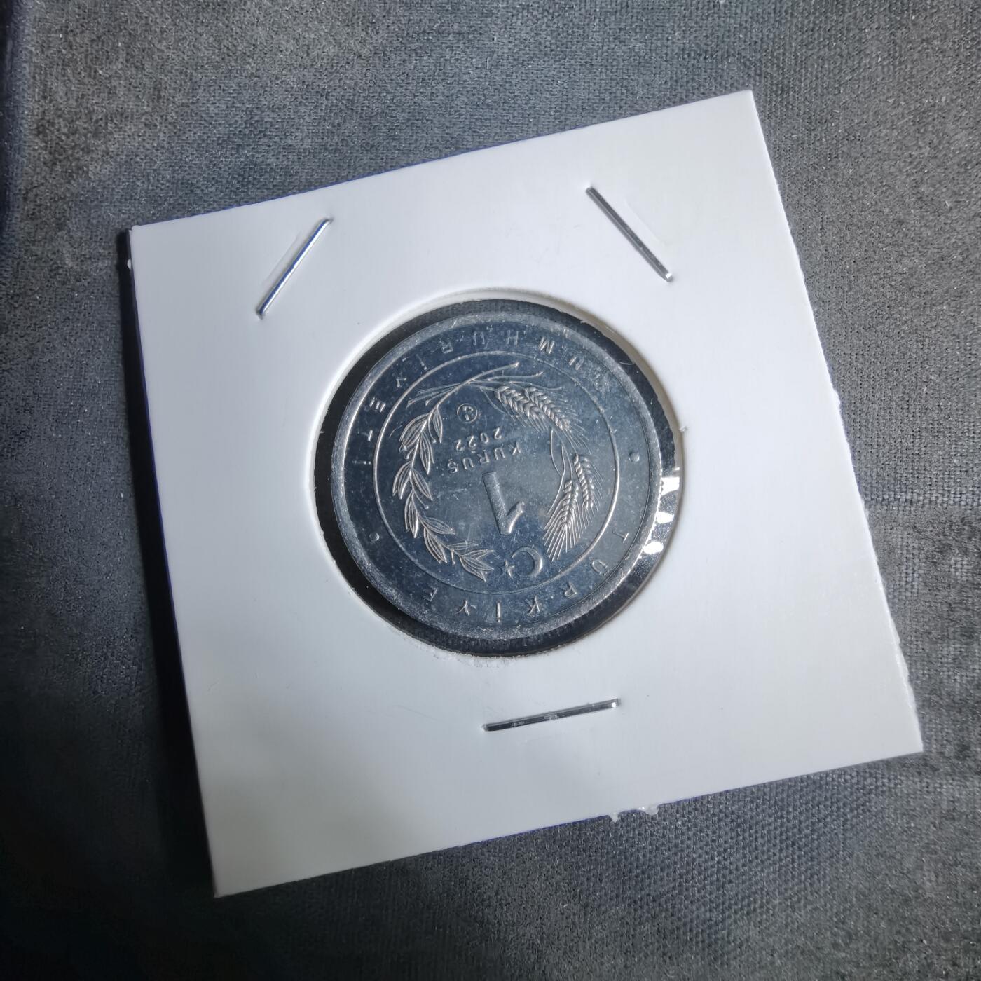 沼泽如烟--第924场