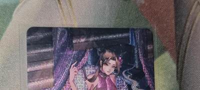 老板带我见世面，我给老板好拍场.零佣收拍第不知道多少期 - 江东卡牌（仿小浣熊粗闪潘金莲）