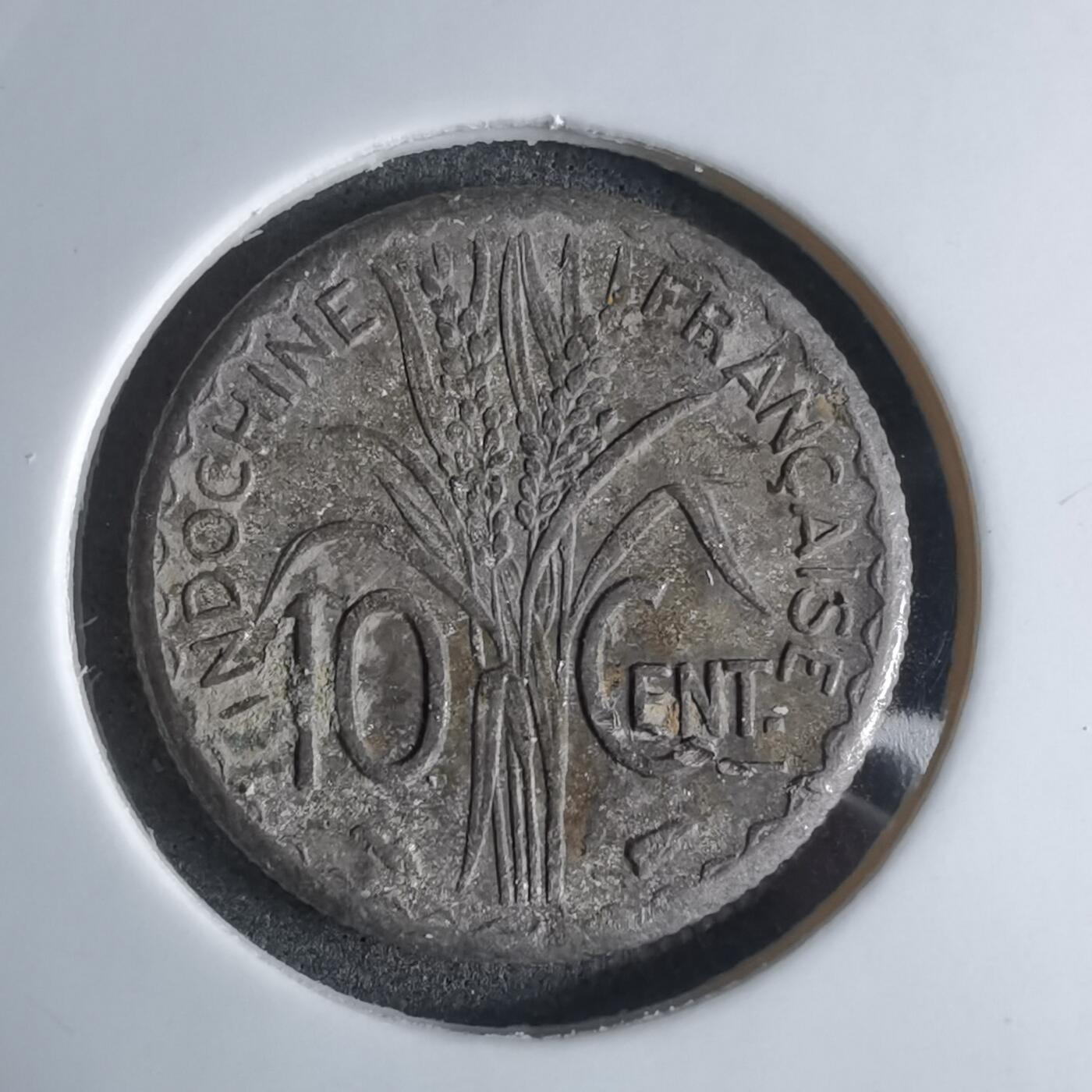 沼泽如烟--第924场