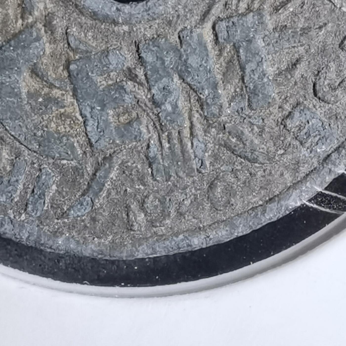 沼泽如烟--第924场