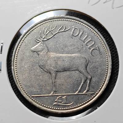 KK钱币收藏小铺 第375期  2月预留时间 周末发货 -  爱尔兰1镑