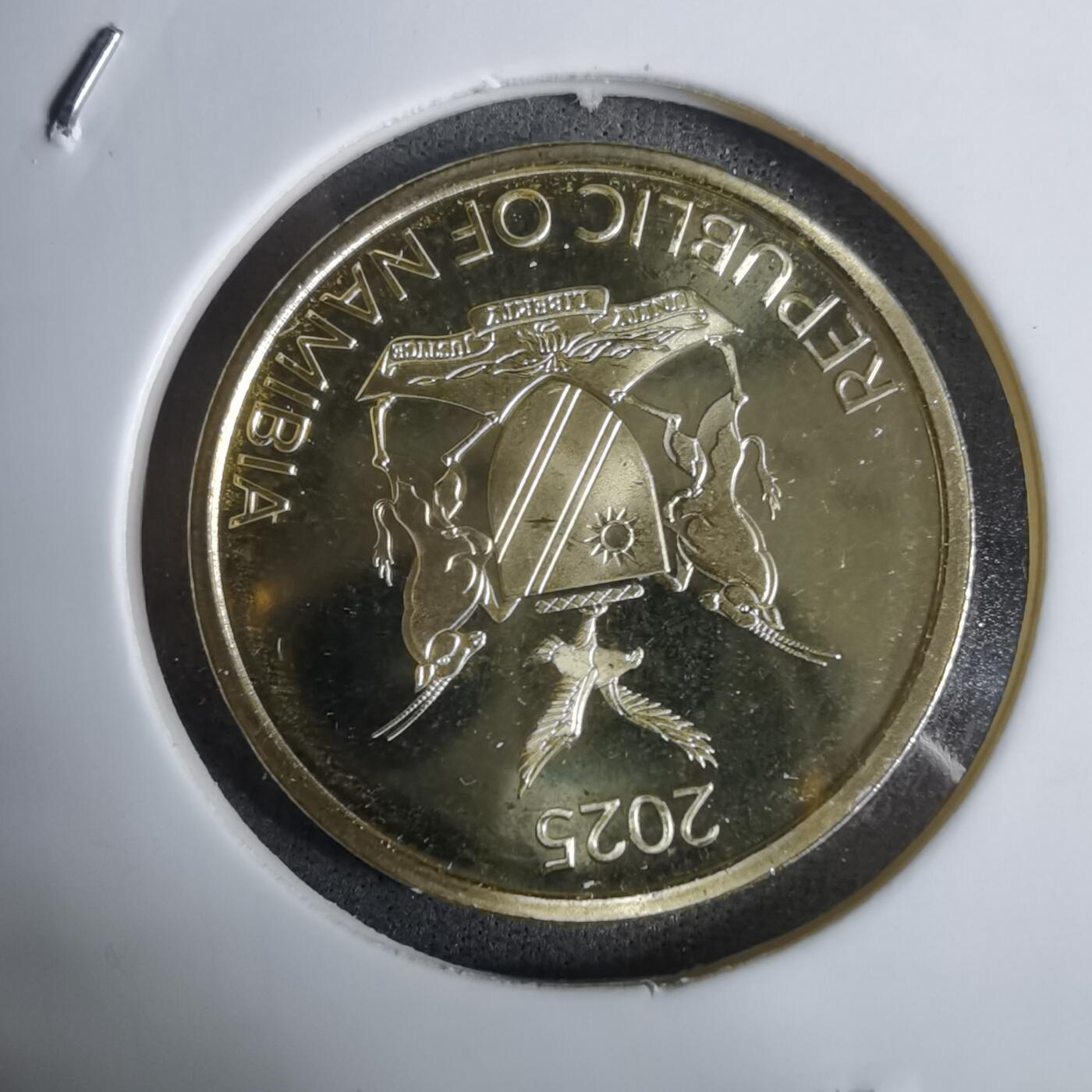 沼泽如烟--第924场