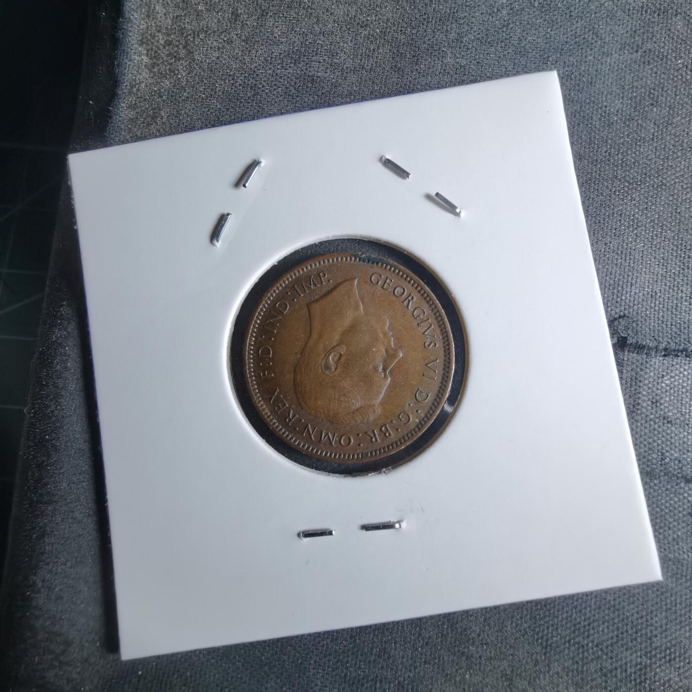 沼泽如烟--第924场