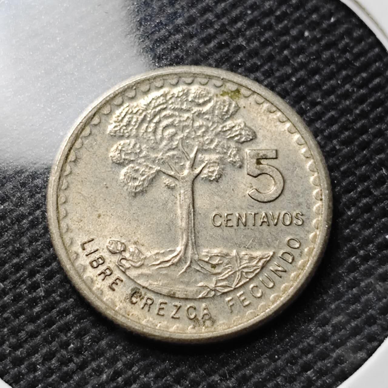 KK钱币收藏小铺 第375期  2月预留时间 周末发货  1974危地马拉5分