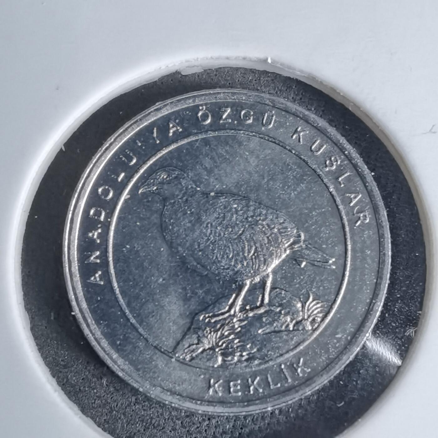 沼泽如烟--第924场