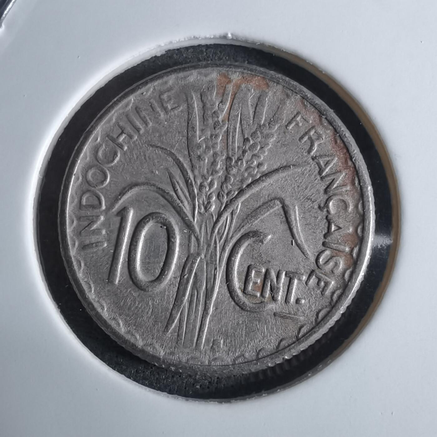 沼泽如烟--第924场