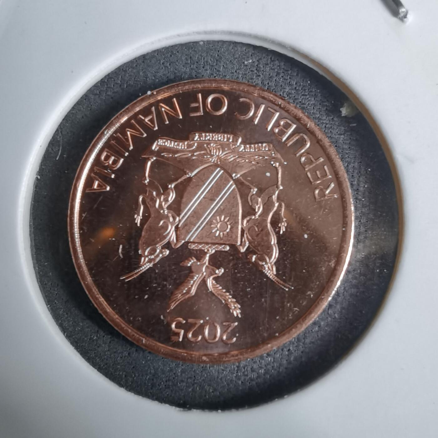 沼泽如烟--第924场