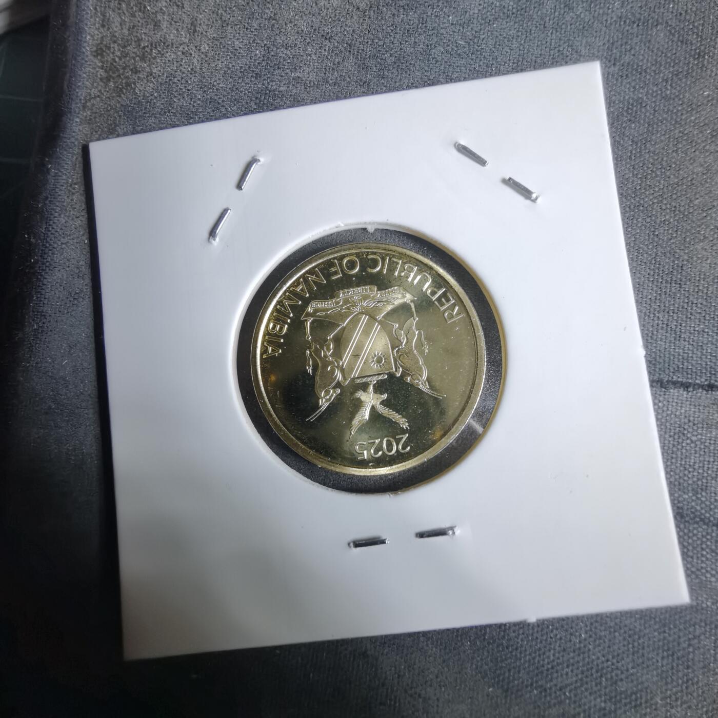 沼泽如烟--第924场