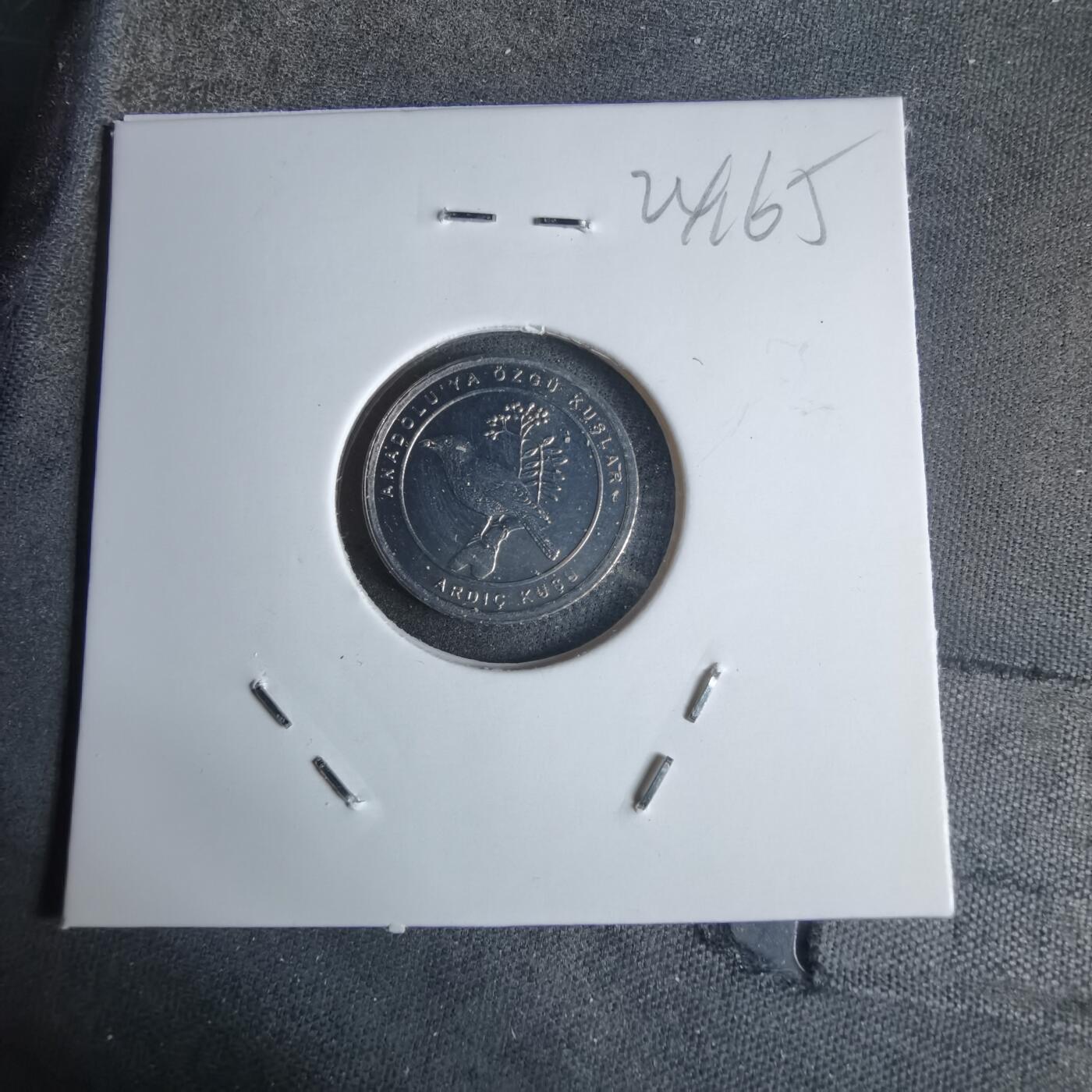 沼泽如烟--第924场