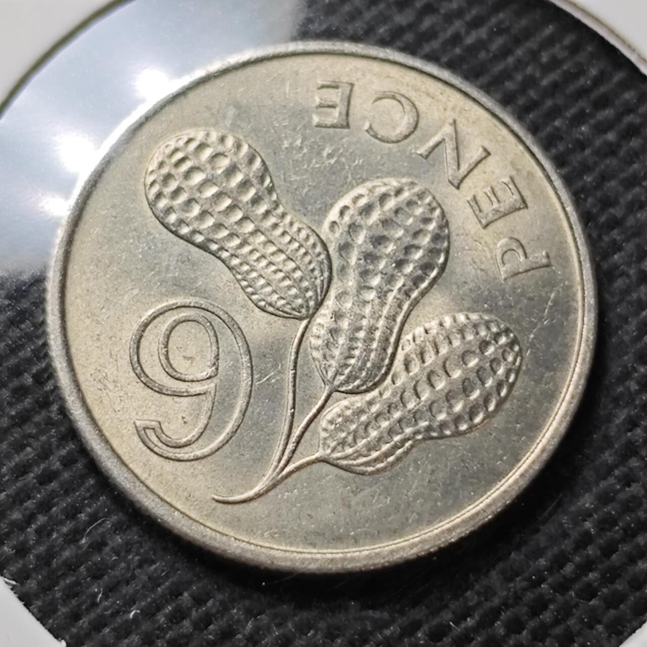 KK钱币收藏小铺 第375期  2月预留时间 周末发货 1966英属冈比亚6便士 