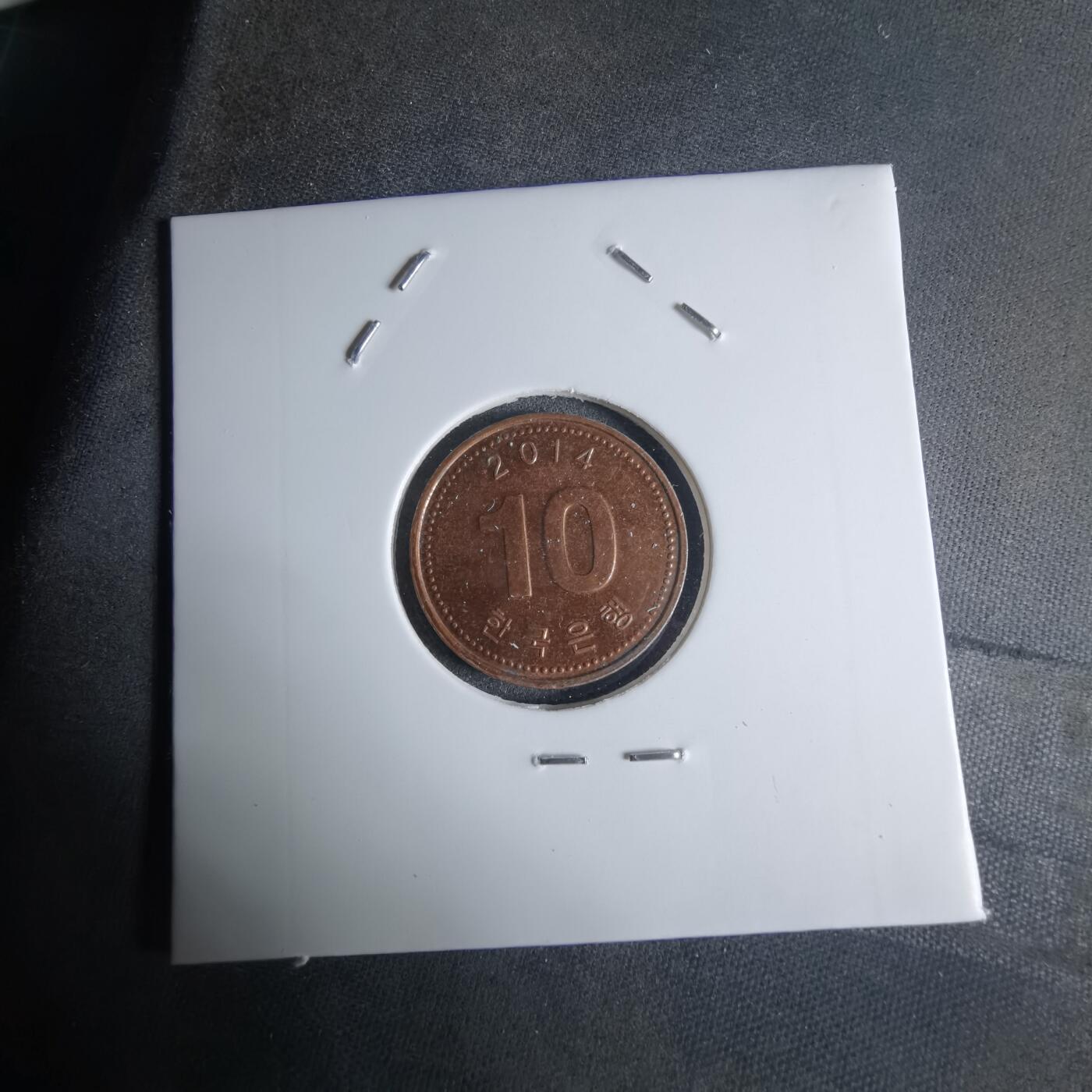 沼泽如烟--第924场