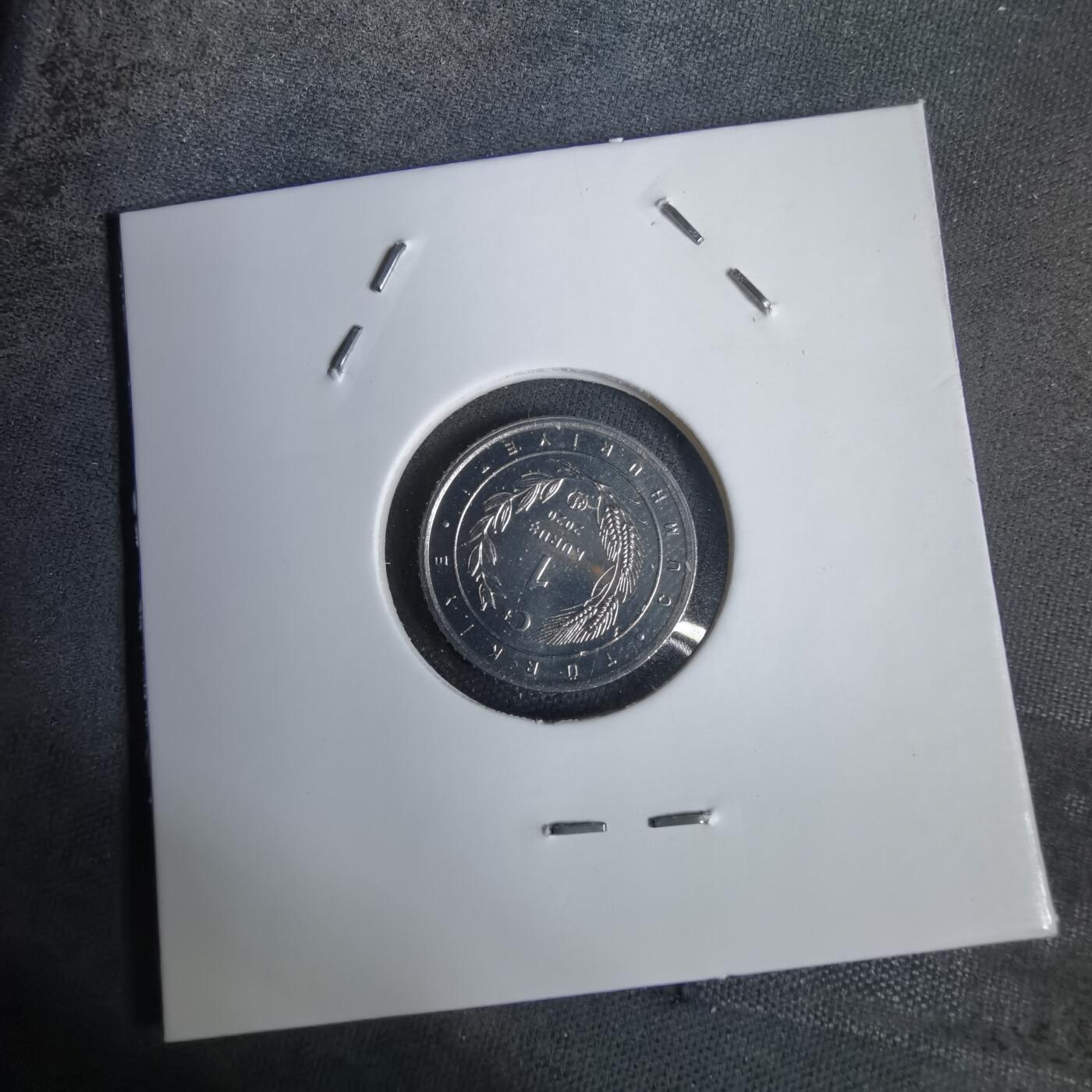 沼泽如烟--第924场