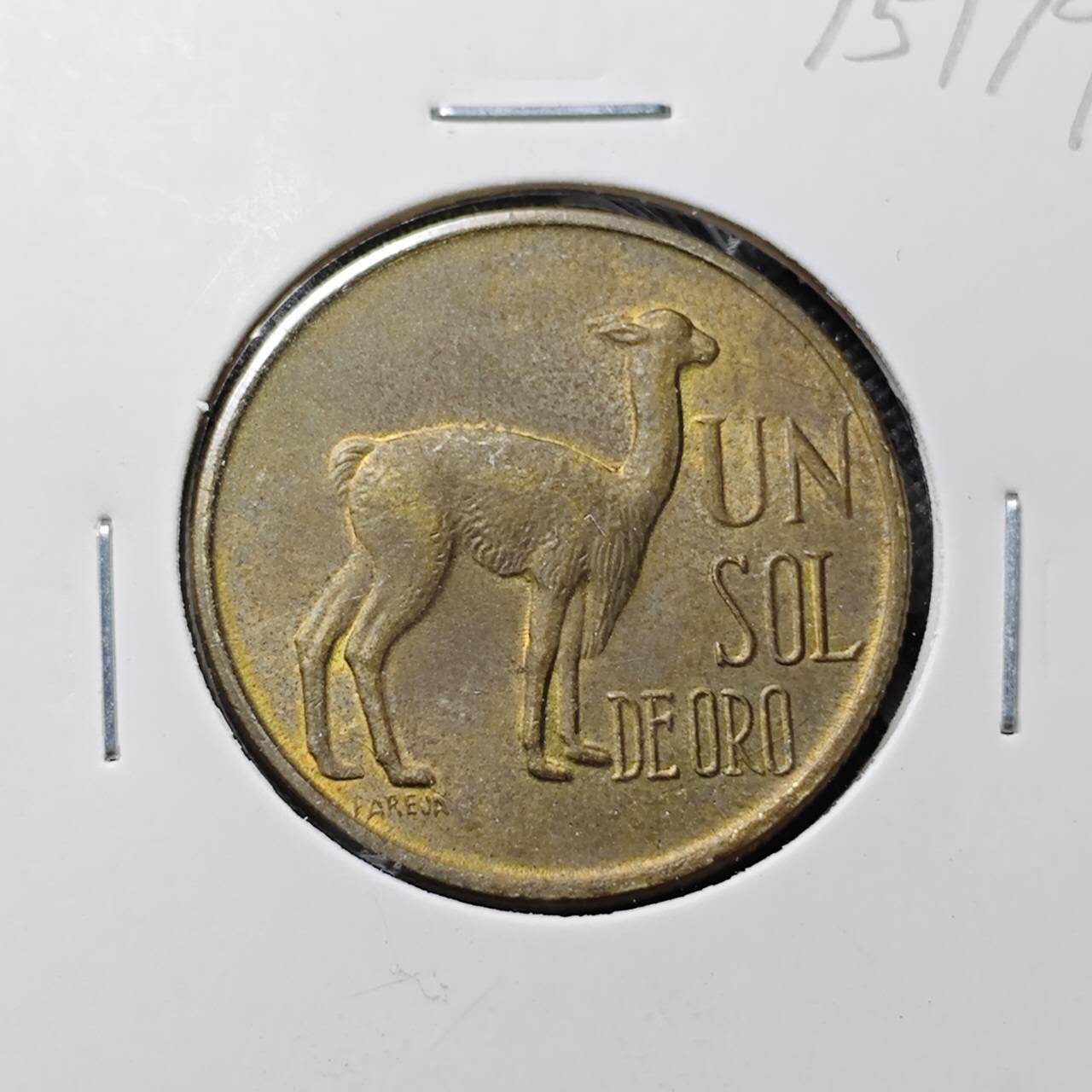 KK钱币收藏小铺 第375期  2月预留时间 周末发货