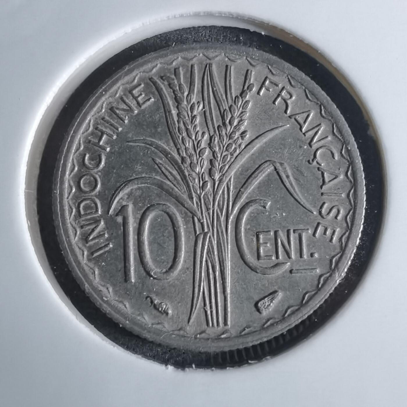 沼泽如烟--第924场