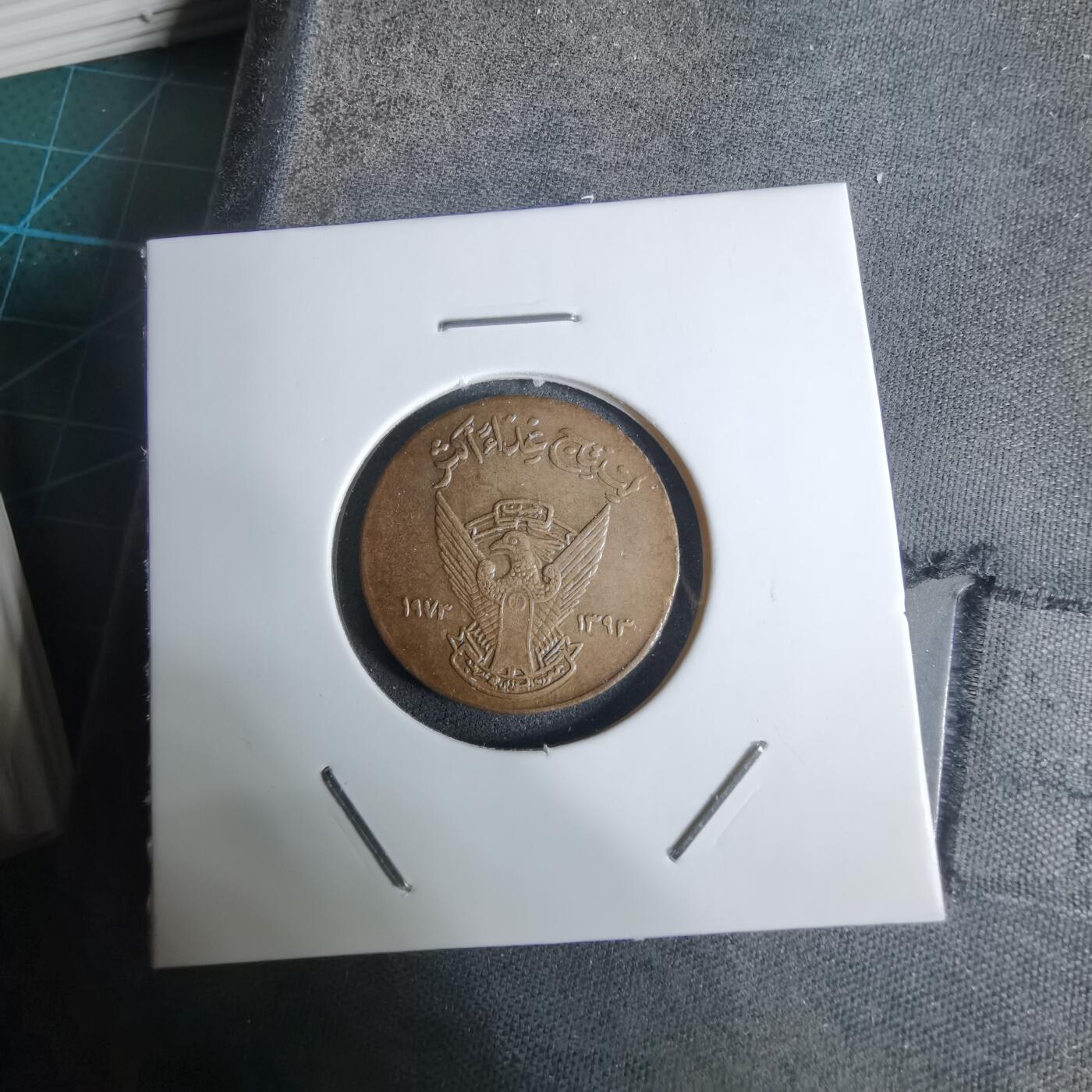 沼泽如烟--第924场