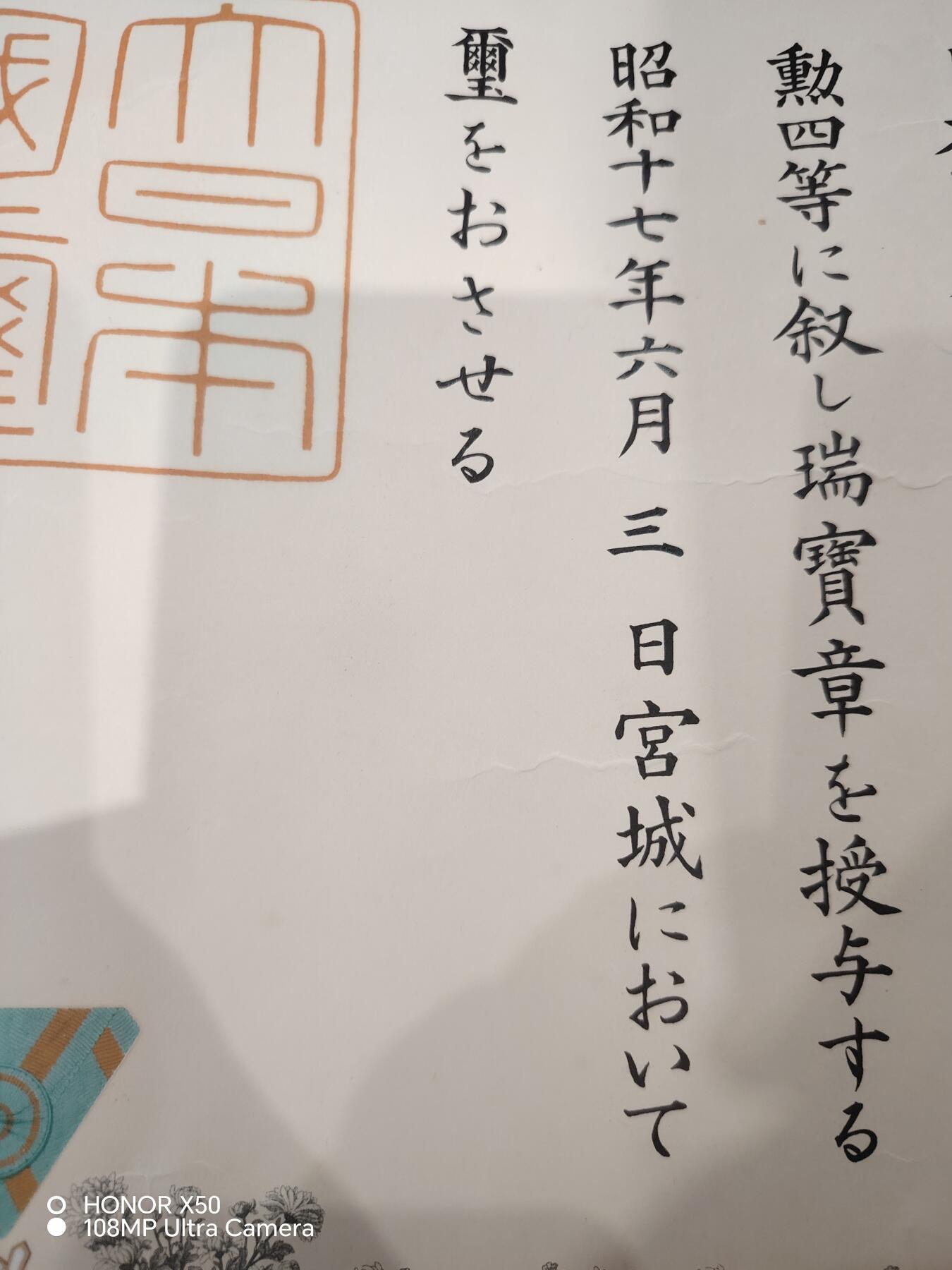 城南花开💐83场