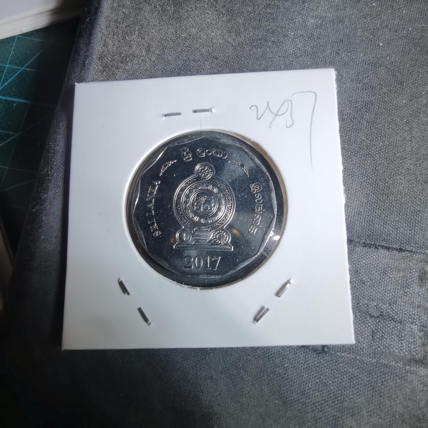 沼泽如烟--第924场