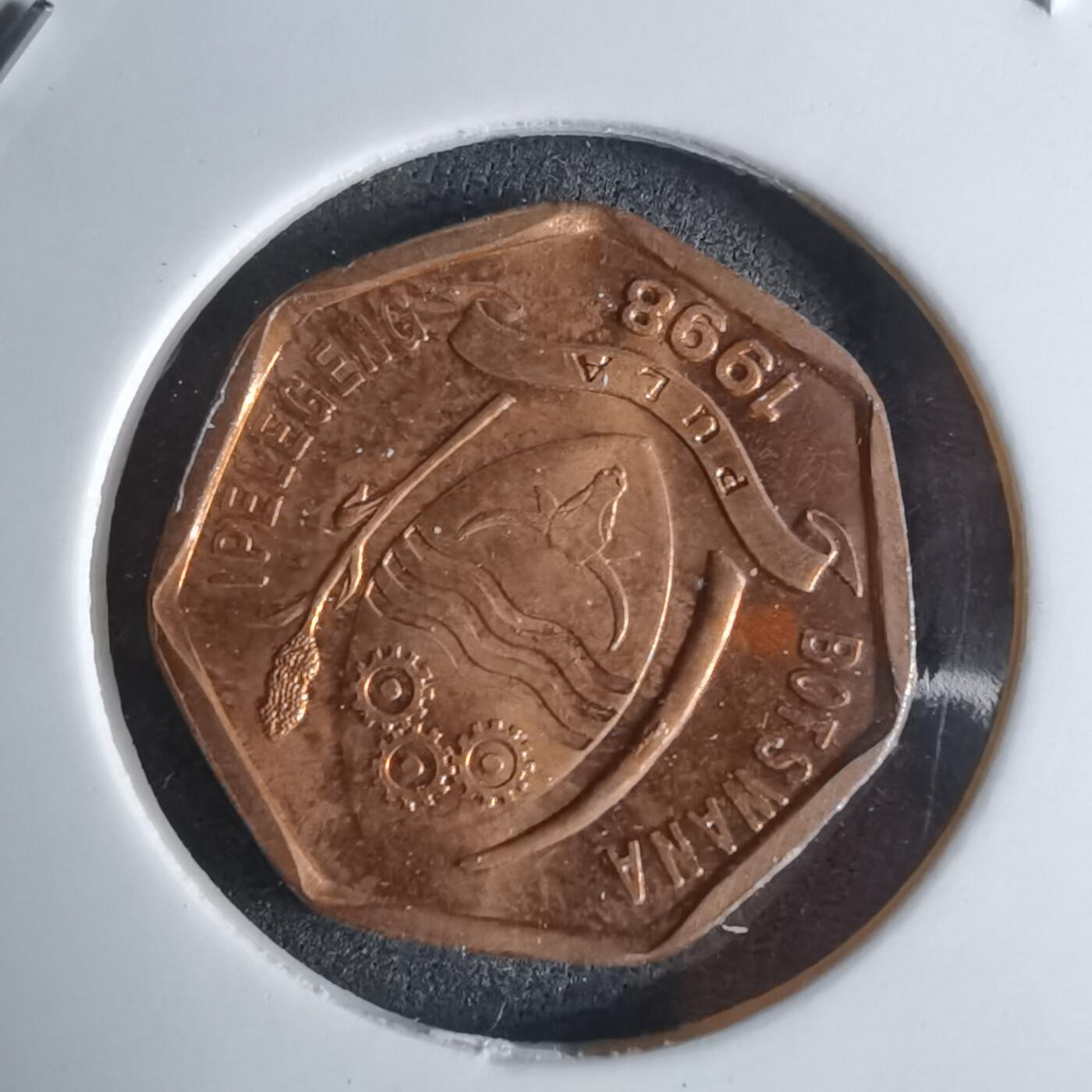 沼泽如烟--第924场