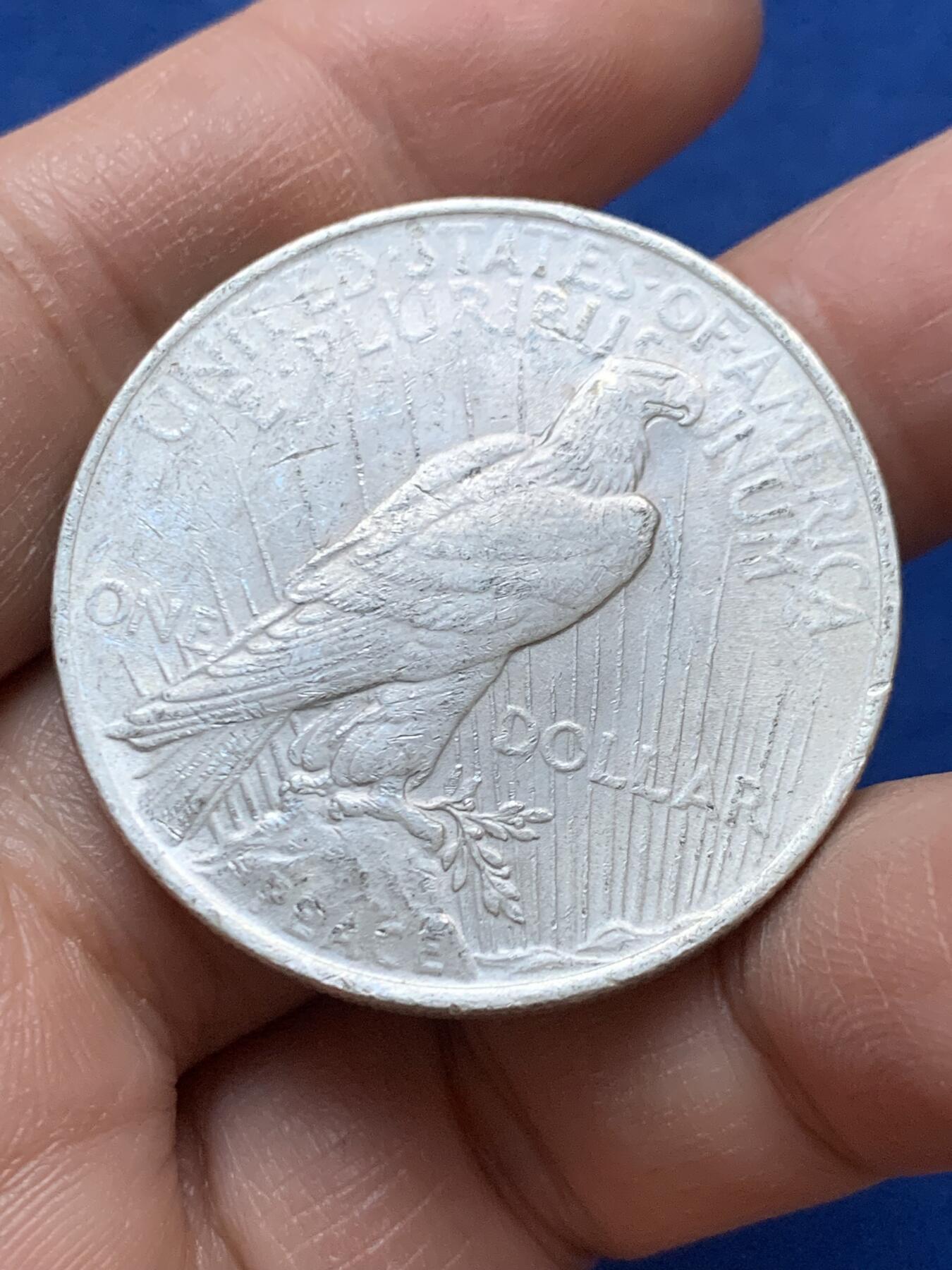 《竞宝斋》第445场 周日，周一，2场连拍 （全场包邮） 美国1923年和平鸽一美元银币