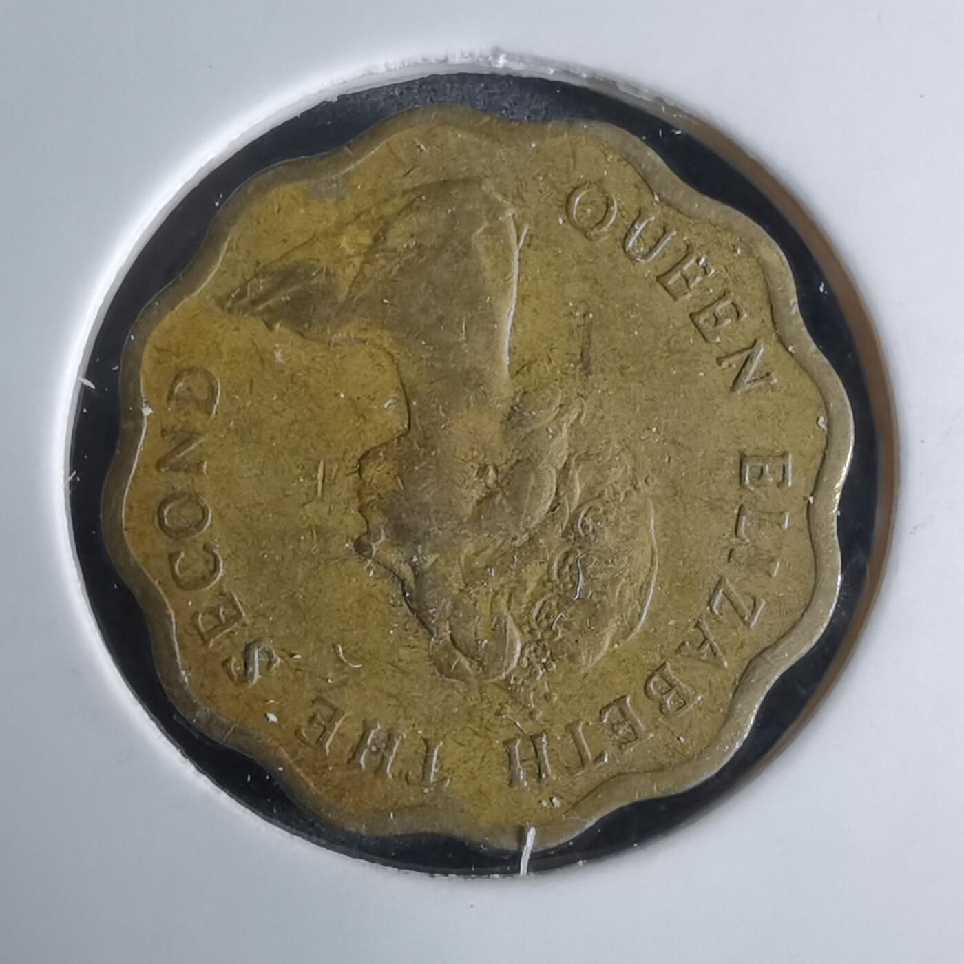 沼泽如烟--第924场