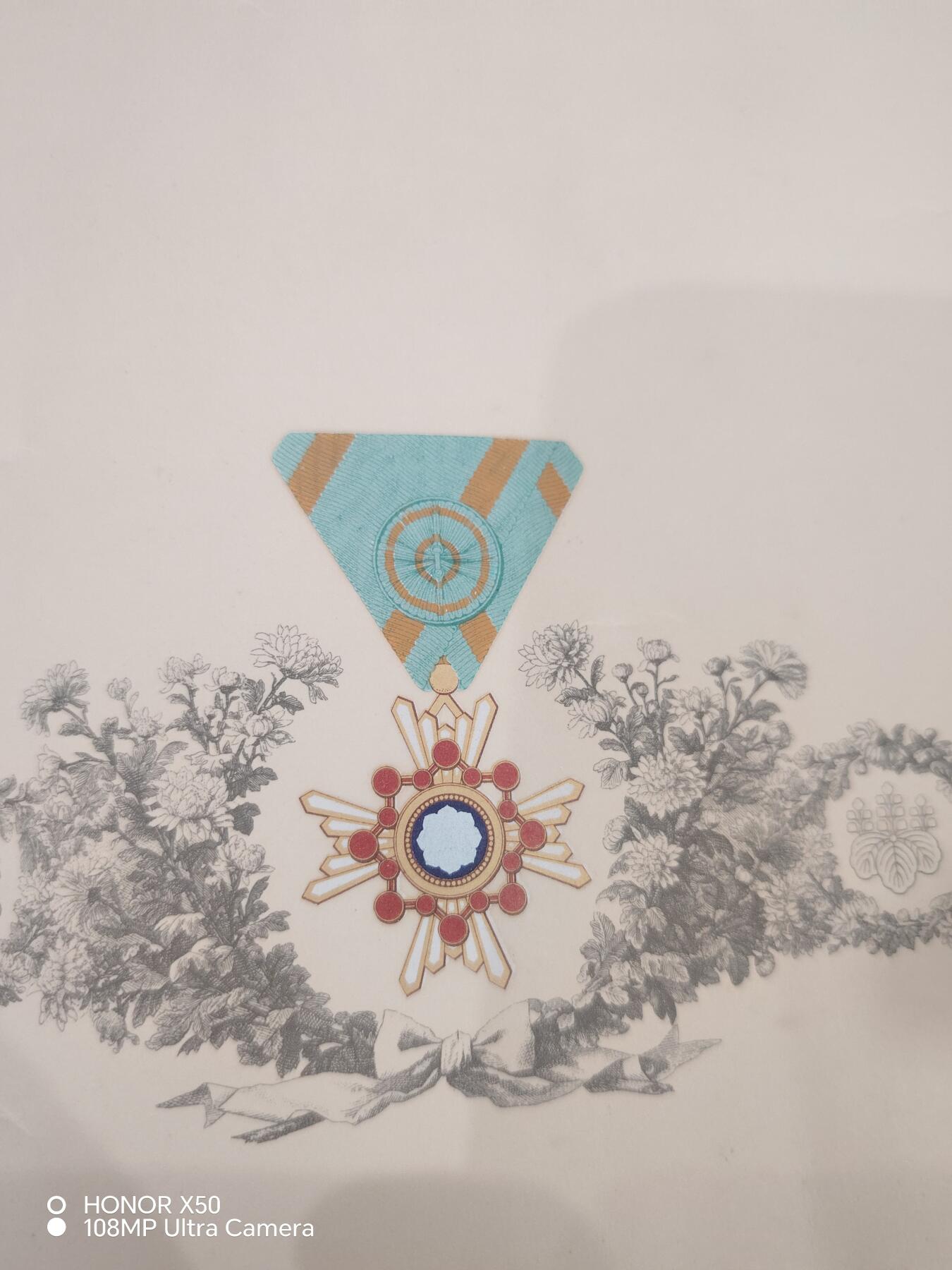 城南花开💐83场