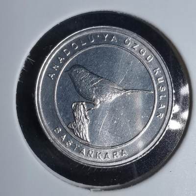 沼泽如烟--第924场 - 土耳其2020年1库鲁小鸟