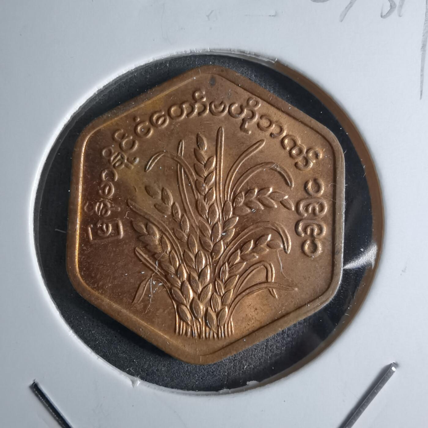 沼泽如烟--第924场