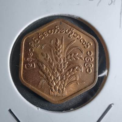 沼泽如烟--第924场 - 缅甸