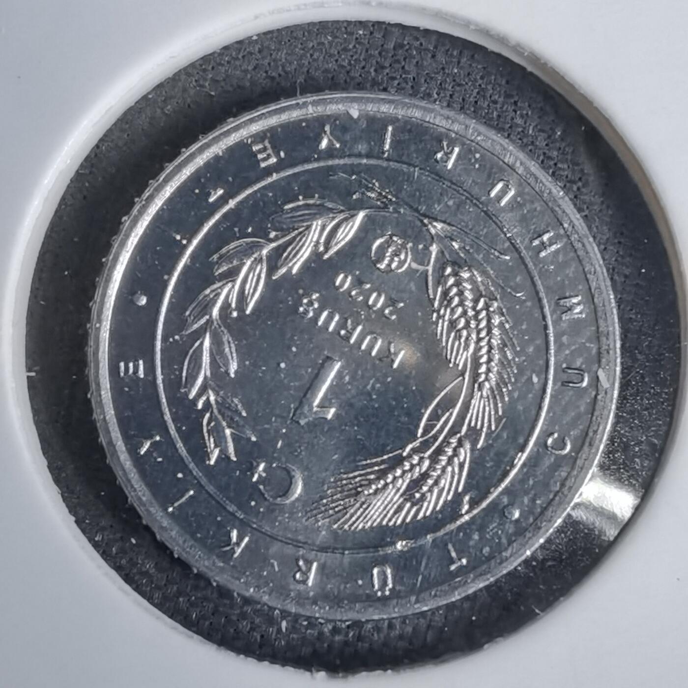 沼泽如烟--第924场