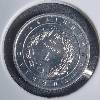 沼泽如烟--第924场 - 土耳其2020年1库鲁小鸟