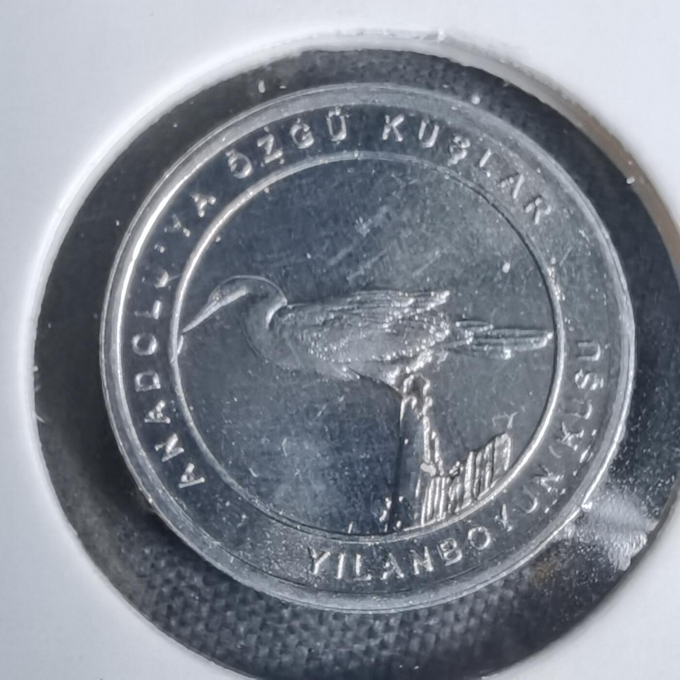 沼泽如烟--第924场