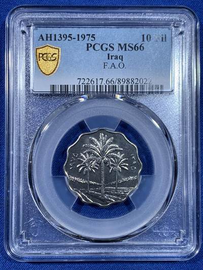《竞宝斋》第445场 周日，周一，2场连拍 （全场包邮） - PCGS MS66 伊拉克1975年10费尔纪念币 椰树 配套合适！