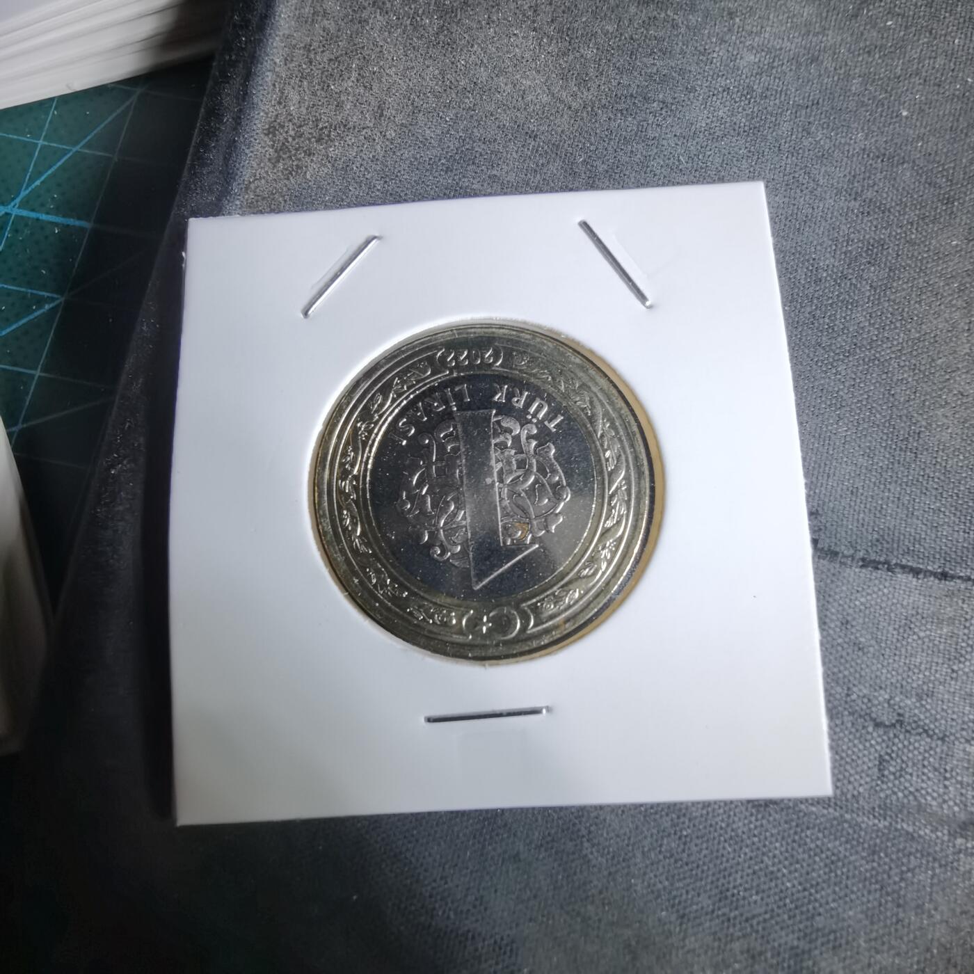 沼泽如烟--第924场