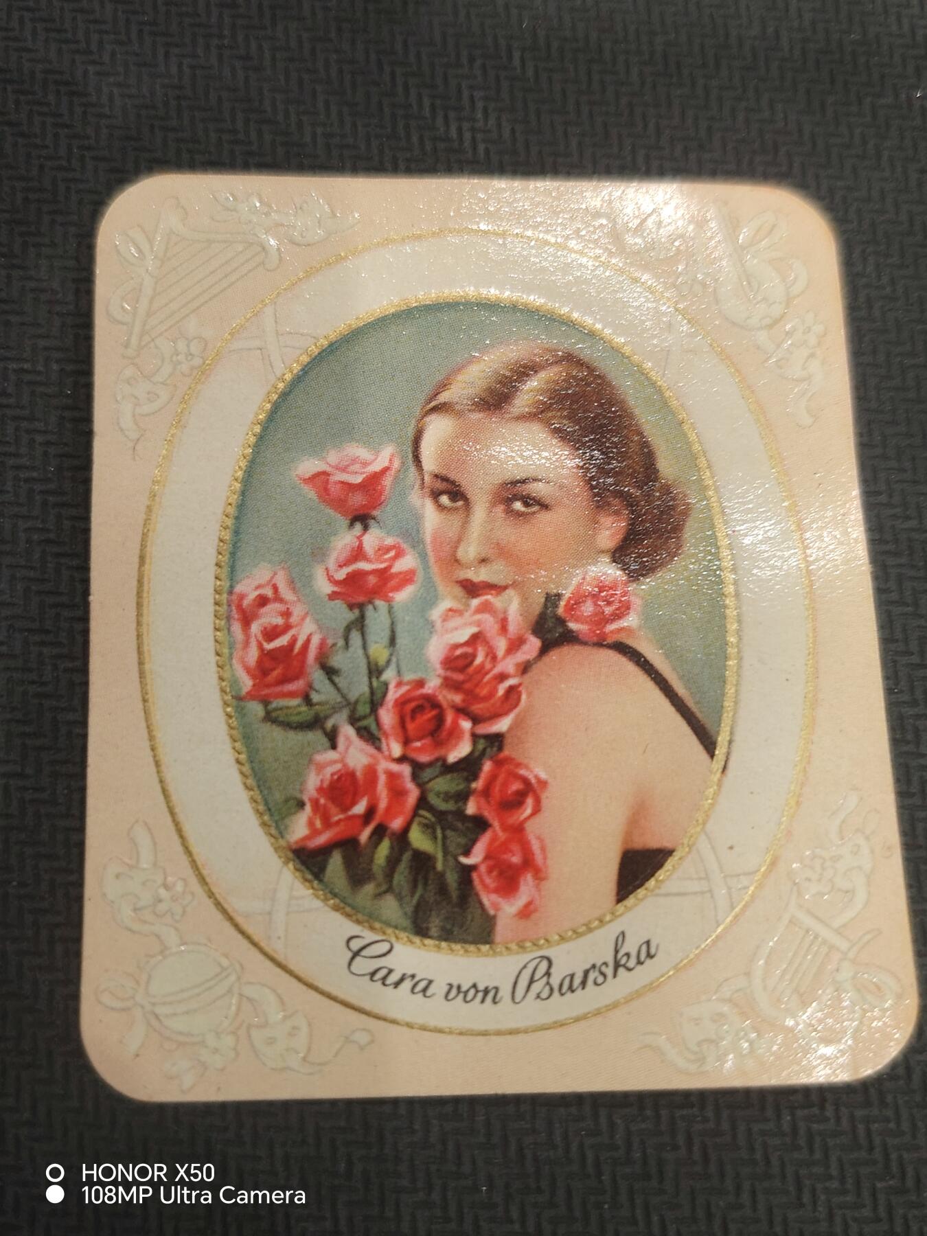 城南花开💐83场