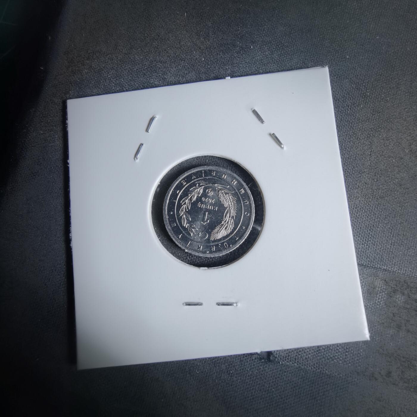 沼泽如烟--第924场