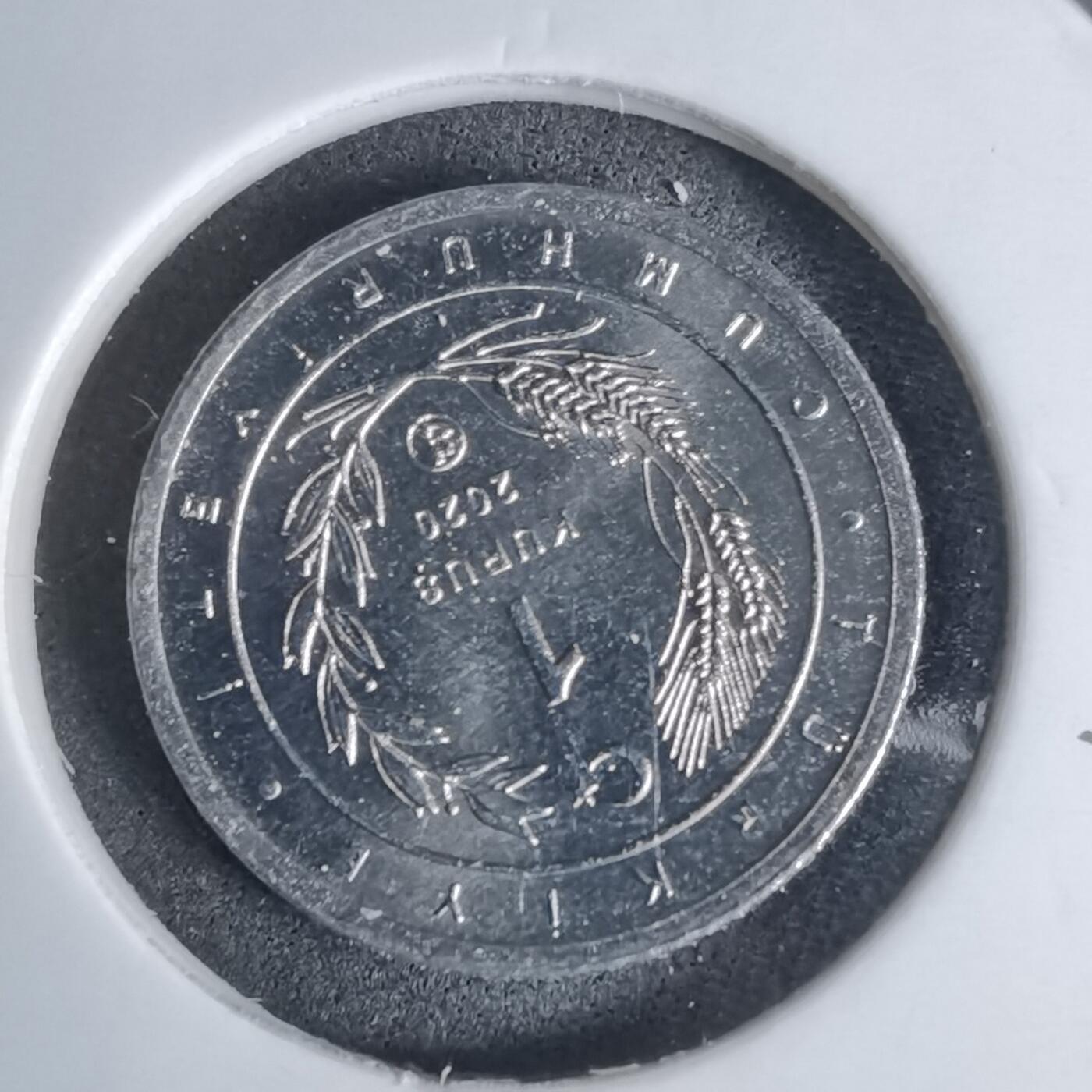 沼泽如烟--第924场