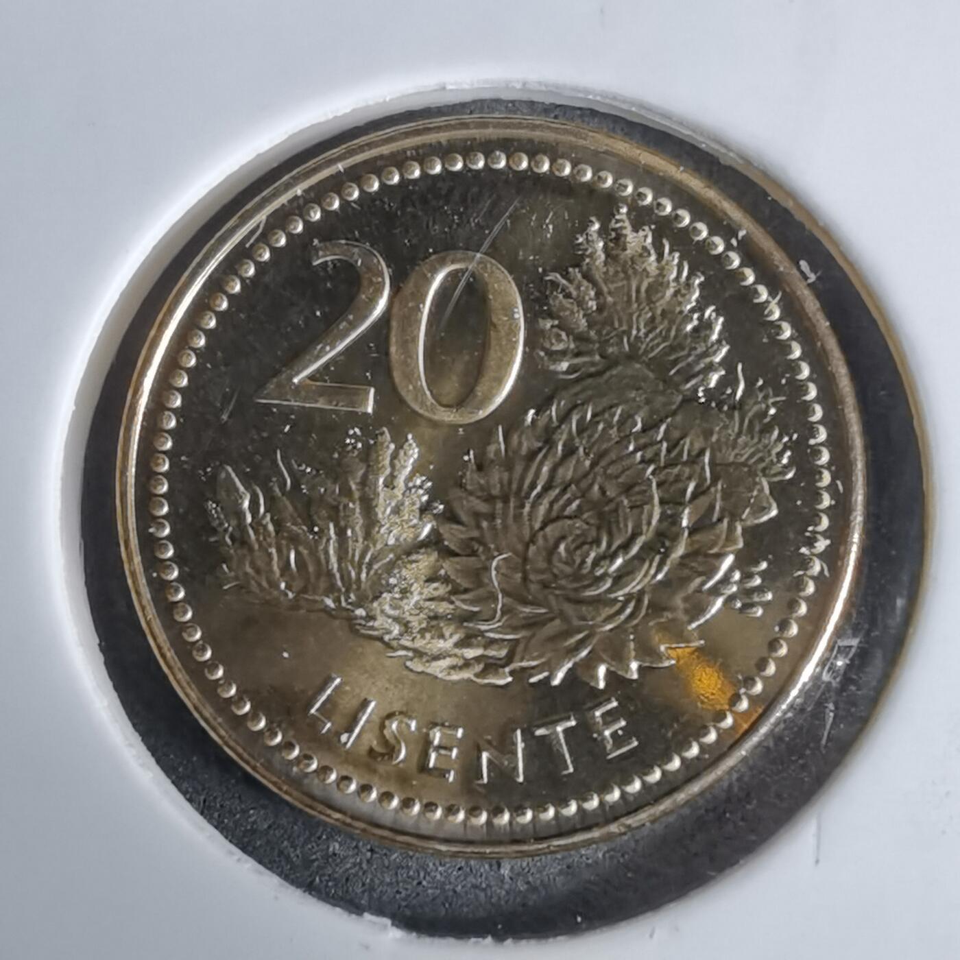 沼泽如烟--第924场