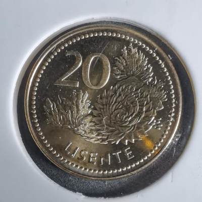 沼泽如烟--第924场 - 莱索托2023年20分