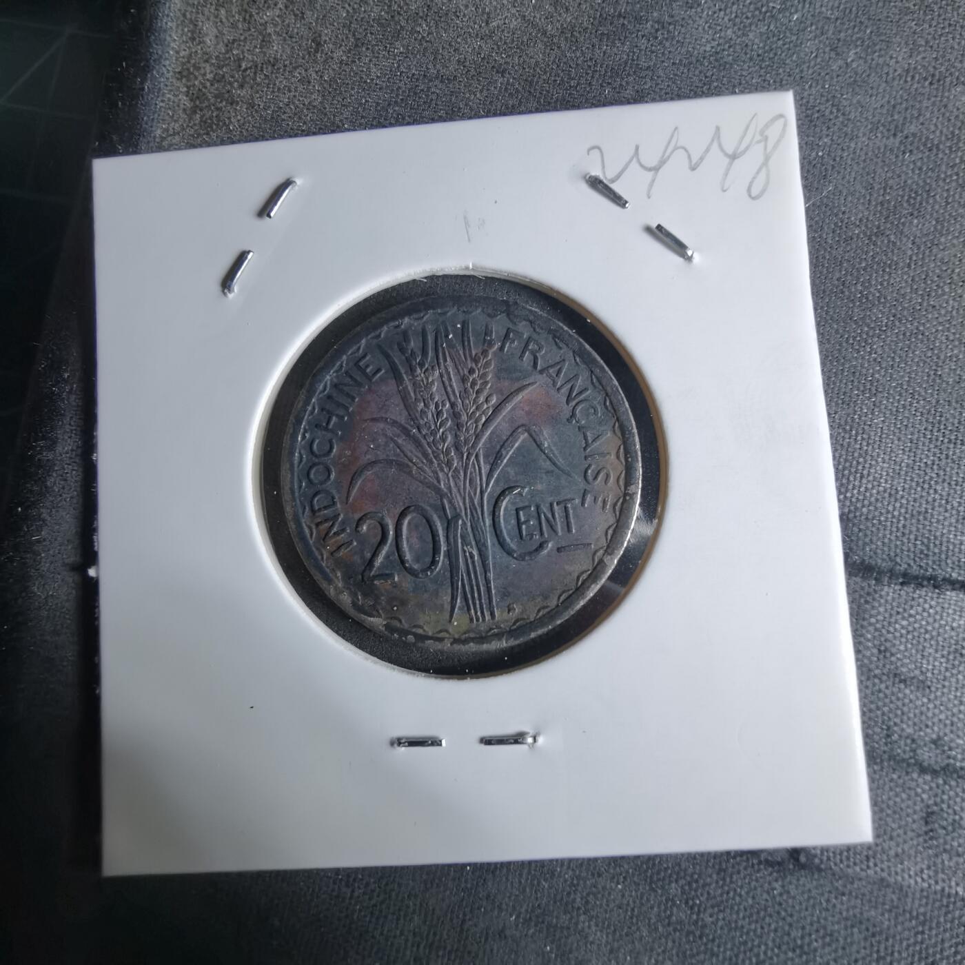 沼泽如烟--第924场