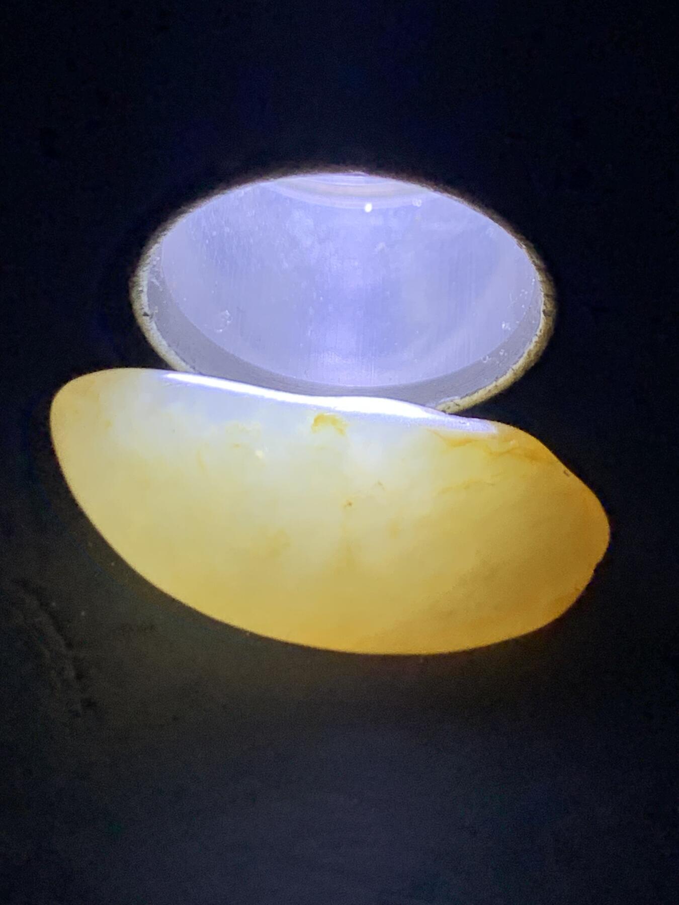 精美洒金皮和田玉小独籽原石一颗